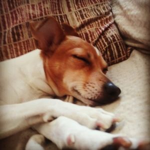 Meet your Posher, Marie